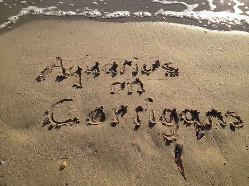 Aquarius on Corrigans in Batemans Bay, Australia