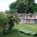 B&B La Casa del Ficus
