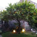 B&B La Durlindana