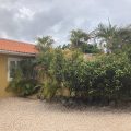 BONAIREFUN Apartments