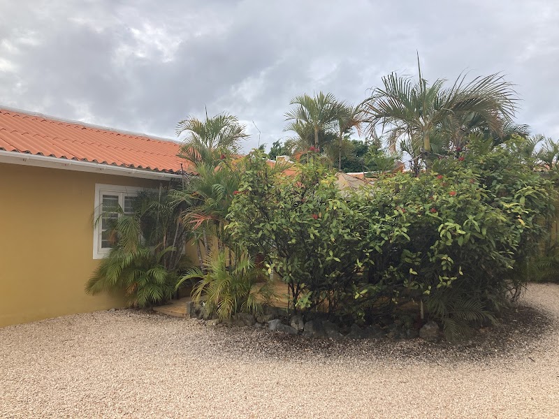 BONAIREFUN Apartments in Kralendijk, Bonaire, Sint Eustatius, and Saba