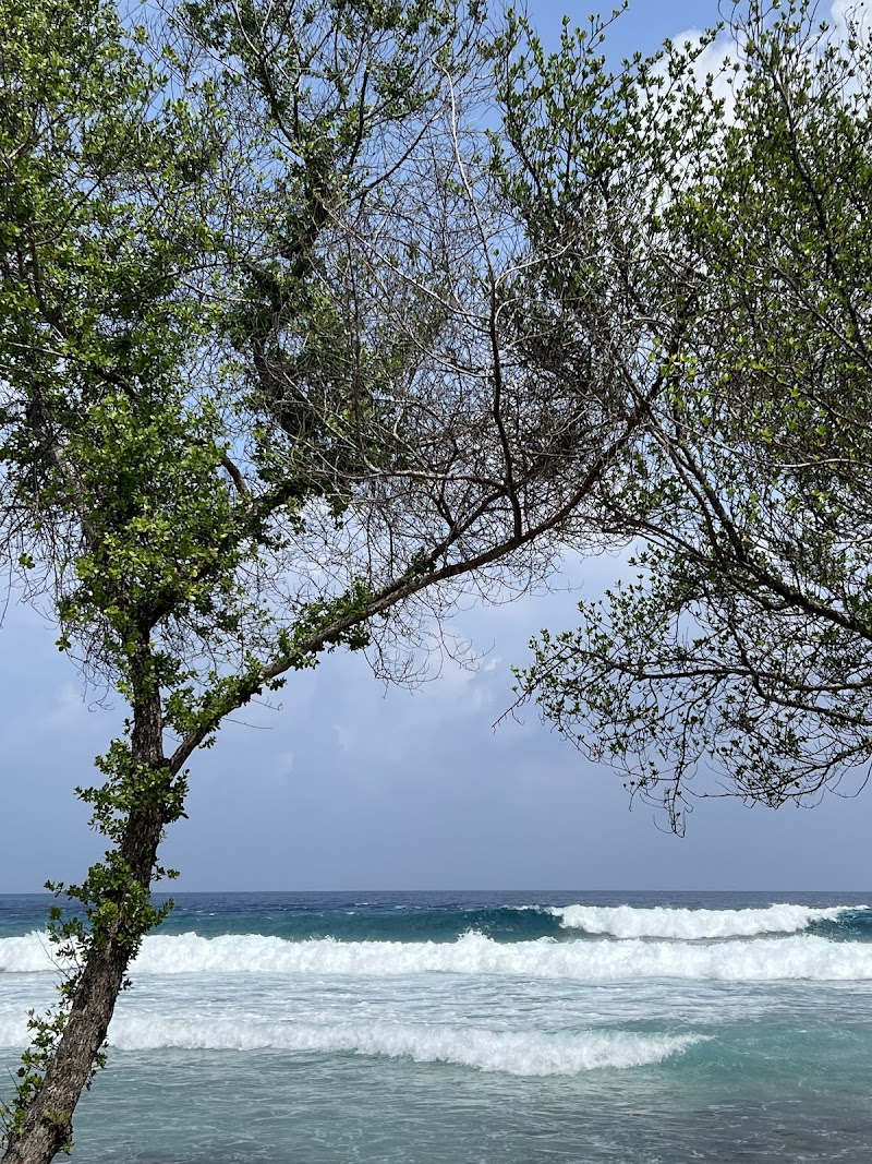 Cokes Surf Camp in Thulusdhoo, Maldives