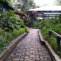 Colo-i-Suva Rainforest Eco Resort