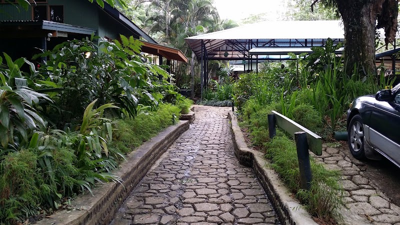 Colo-i-Suva Rainforest Eco Resort in Suva, Fiji