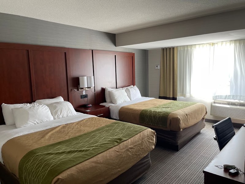Comfort Inn & Suites in Collingwood, Canada