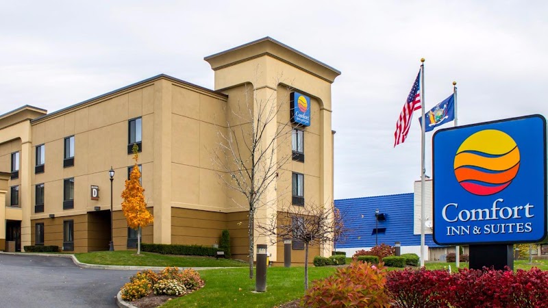 Comfort Inn & Suites Airport - Wolf Road in Albany, United States