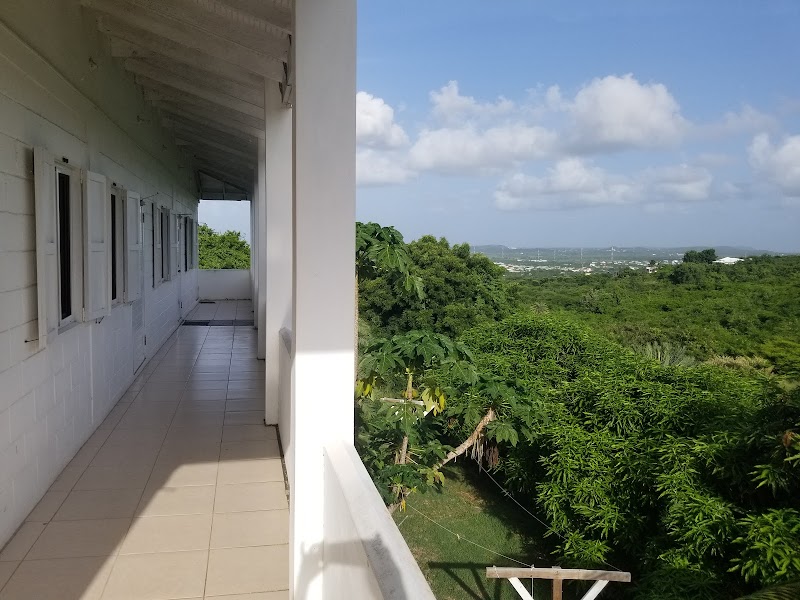 Date Palms Apartments in Saint John's, Antigua and Barbuda
