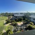 Fairmont Orchid