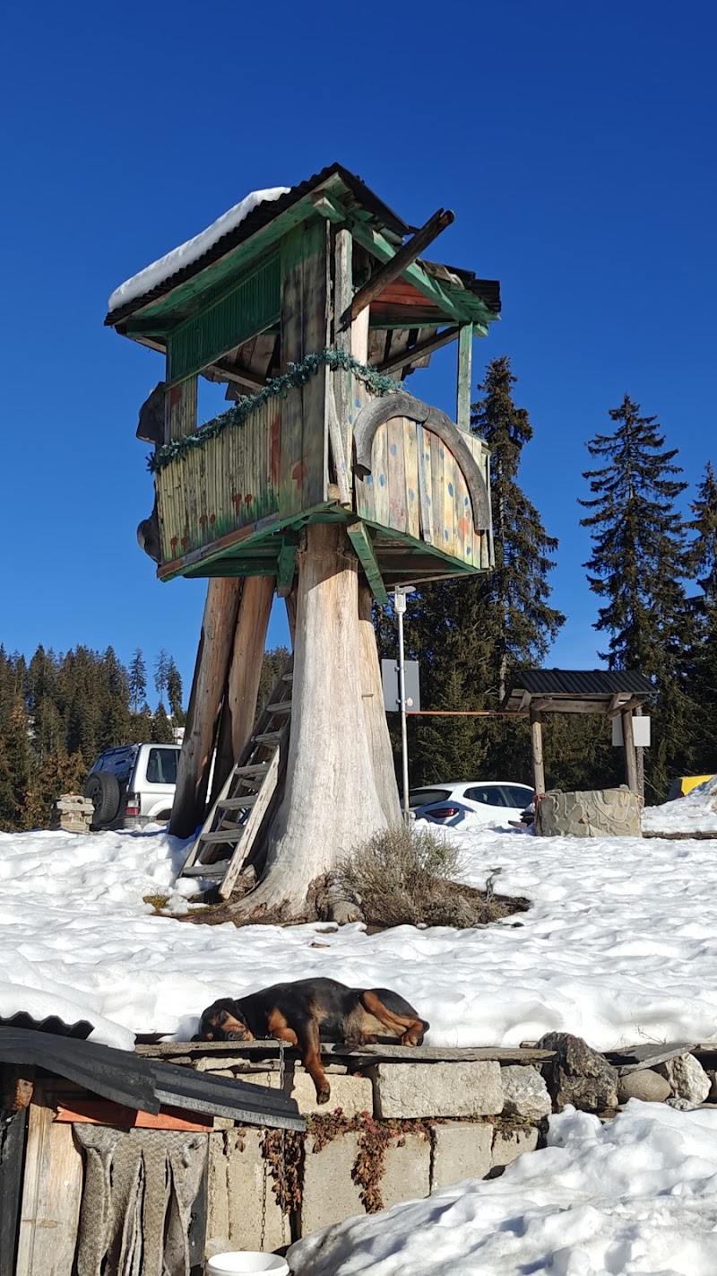 Family Hotel Markov's House in Smolyan, Bulgaria