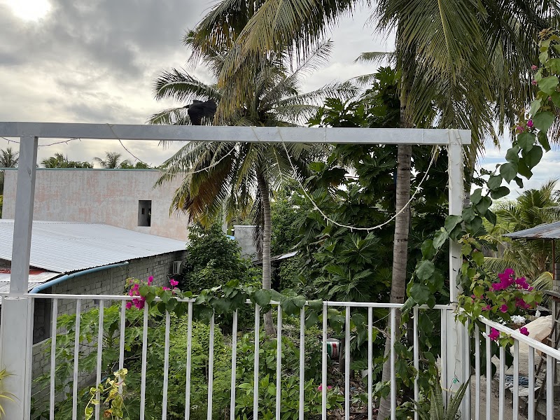 Greenleaf in Felidhoo, Maldives