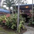 Hawaiian Oasis Bed & Breakfast