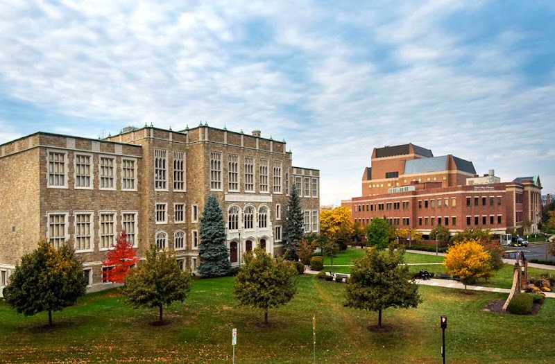 Hilton Garden Inn Albany Medical Center in Albany, United States