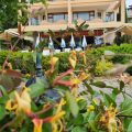 Hotel Capri