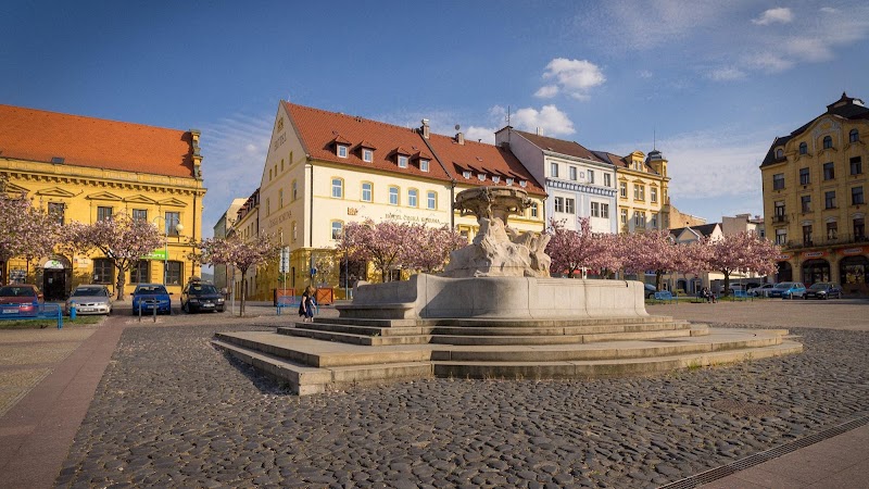 Hotel Česká Koruna in Decin, Czechia