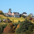 Hotel Des Vignes