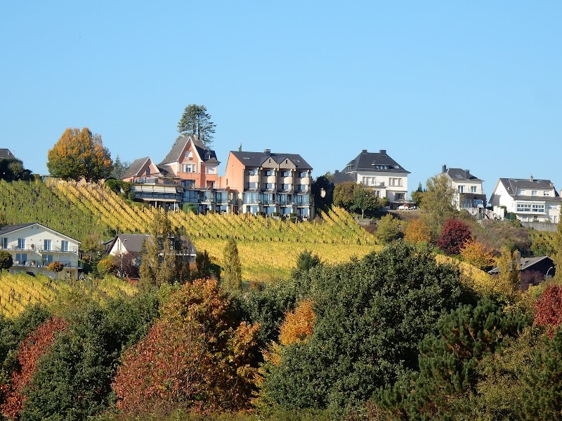 Hotel Des Vignes in Remich, Luxembourg