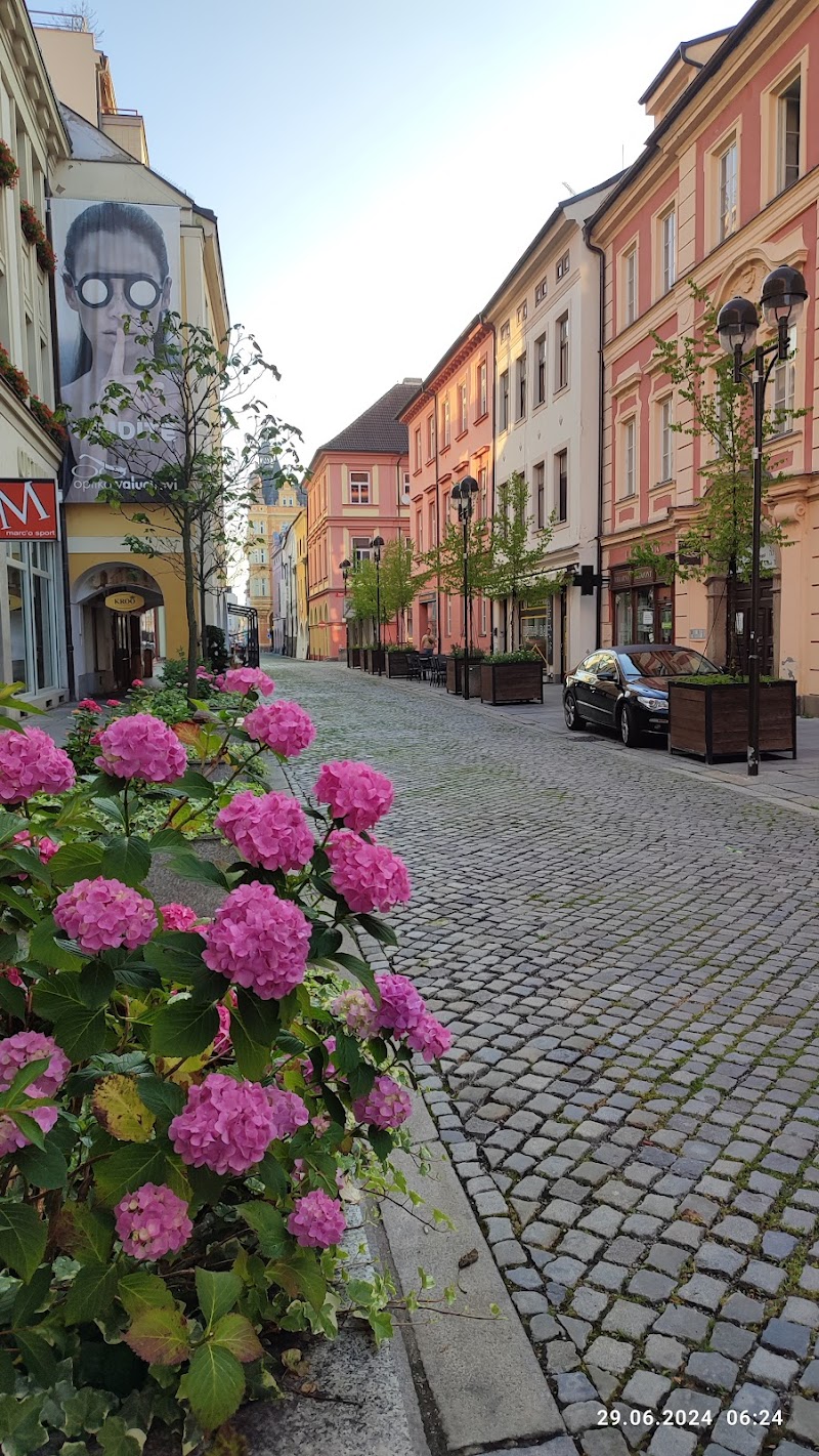 Hotel Dvorak in Ceske Budejovice, Czechia