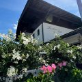 Hotel Garni Landhaus Gitti