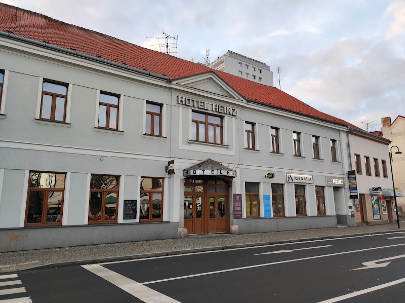 Hotel Heinz in Dobris, Czechia