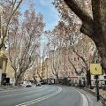 Hotel Majestic Roma