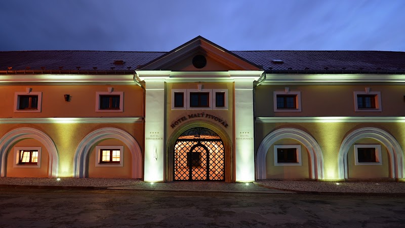 Hotel Malý Pivovar in Ceske Budejovice, Czechia