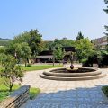 Hotel Orchidea