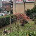 Hotel Real
