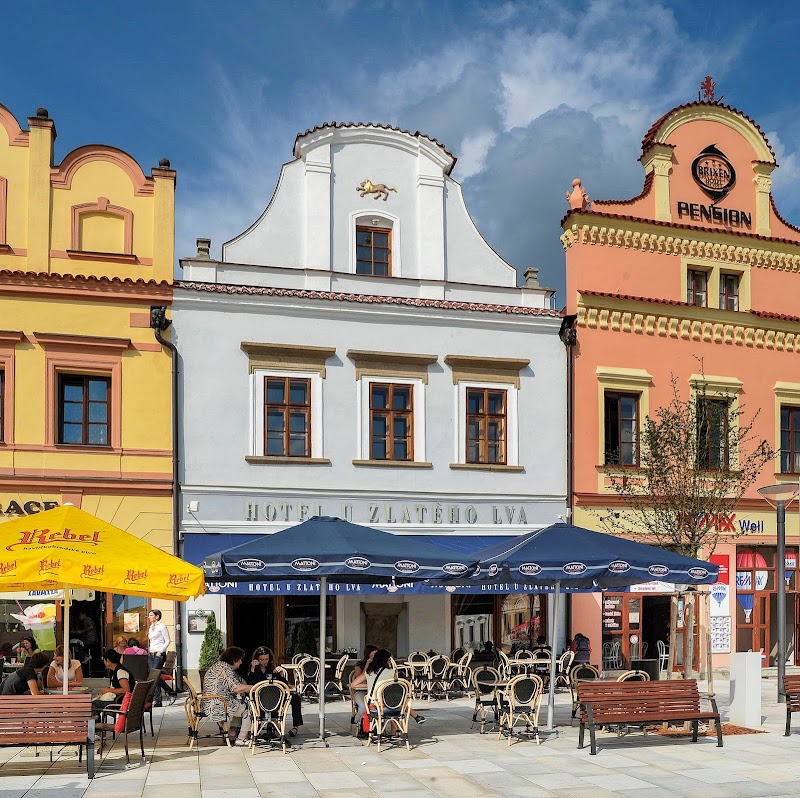 Hotel U Zlatého Lva in Caslav, Czechia