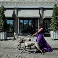 Hotel d’Angleterre