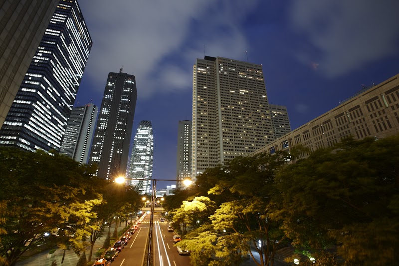 Keio Plaza Hotel Tokyo in Tokyo, Japan