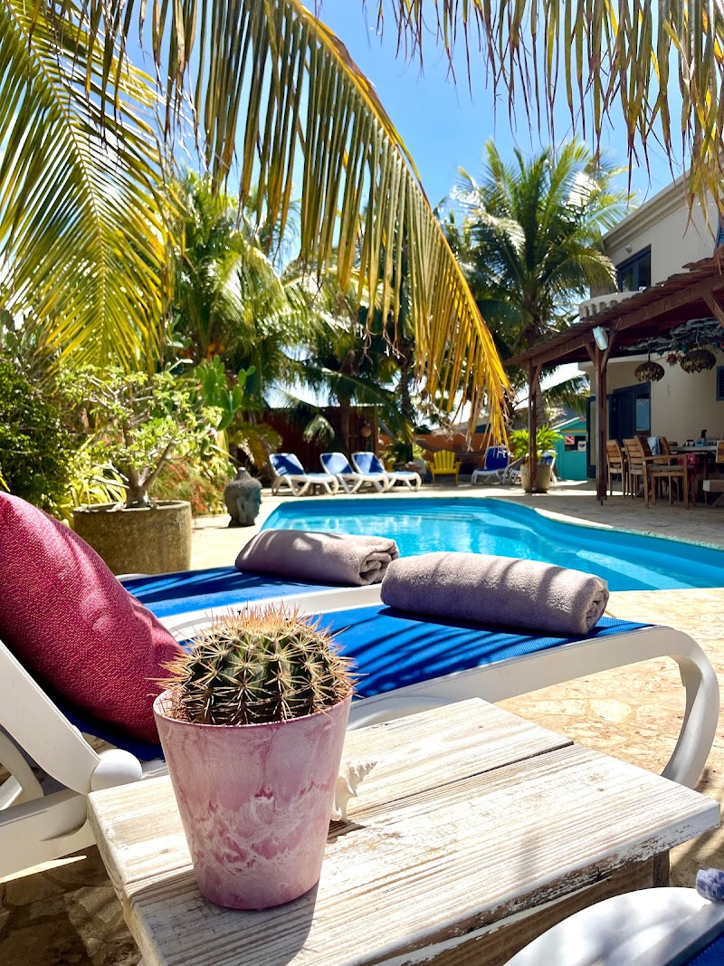 Oasis Guesthouse Bonaire in Kralendijk, Bonaire, Sint Eustatius, and Saba