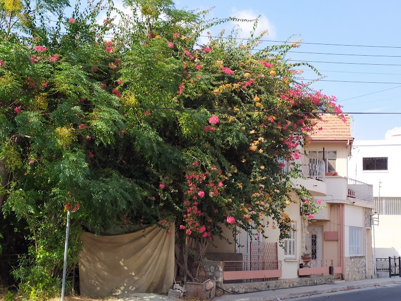 Onisillos Hotel in Larnaca, Cyprus