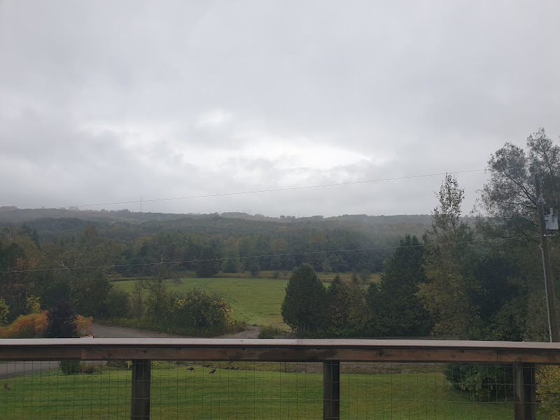 Our Valley View Bed & Breakfast in Clarington, Canada