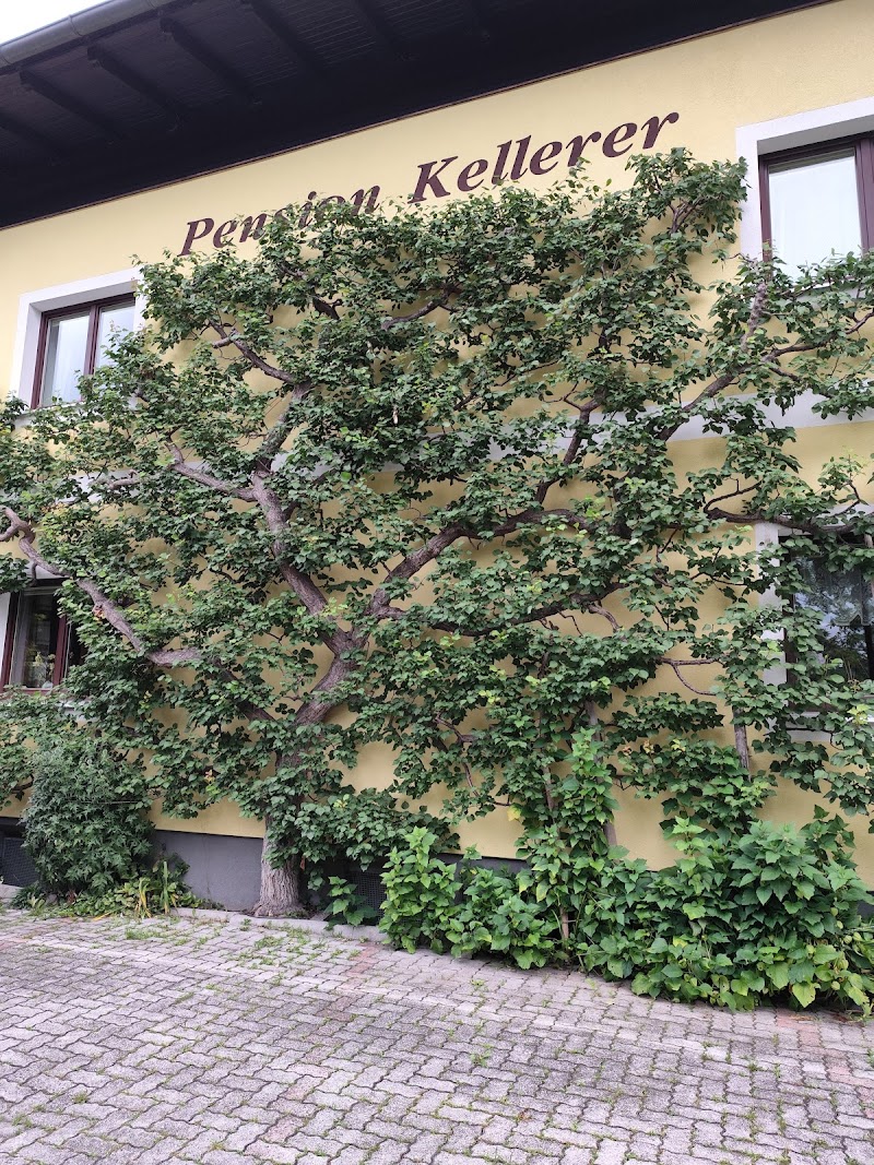 Pension Kellerer in Saalfelden am Steinernen Meer, Austria