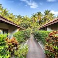 Plumeria Maldives