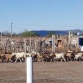 Posada Los Arrieros