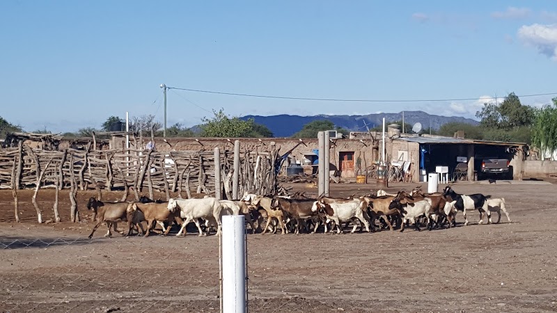 Posada Los Arrieros in Chilecito, Argentina