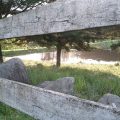 Posada de los Pájaros