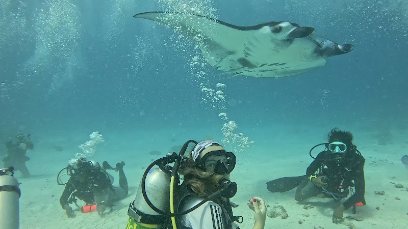 Rasdhoo Dive and Water Sports in Rasdhoo, Maldives