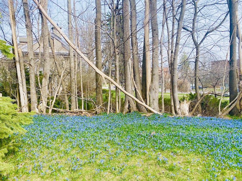 Richmond Manor Bed & Breakfast in Barrie, Canada