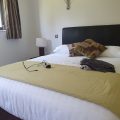 Templars Hotel and Carvery