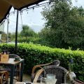 The Hawk Inn