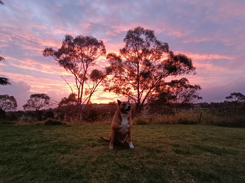 Twodogfolly Bed & Breakfast in Armidale, Australia