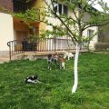 Villa Nanevi