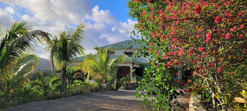 Villa Touloulou in Saint John's, Antigua and Barbuda